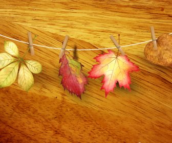 Autumn Leaf Realistic On Wooden Background