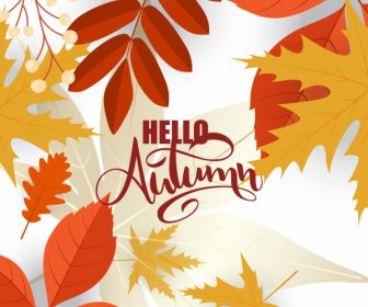 Autumn Leaves Background Elegant Bright Colorful Decor