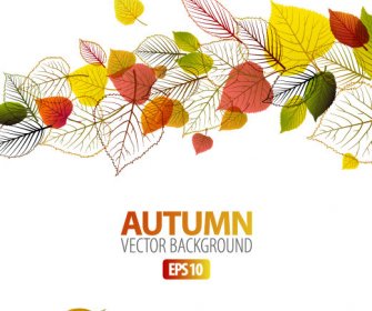 Autumn Leaves Elements Background Vector Set