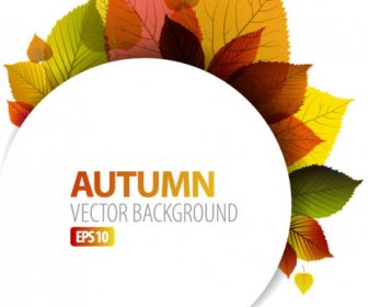 Autumn Leaves Elements Background Vector Set