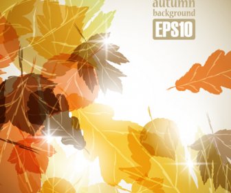Autumn Theme Backgrounds Art Vector