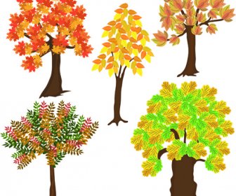 Autumn Tree Icons Vector