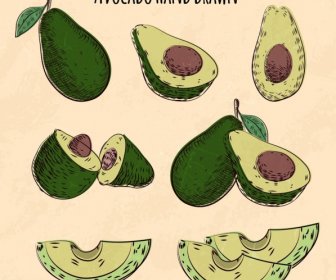 Avocado-Symbole Formen Verschiedene 3d Hand Gezeichnete Skizze