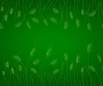 Barley Background Green Design Repeating Handdrawn Sketch