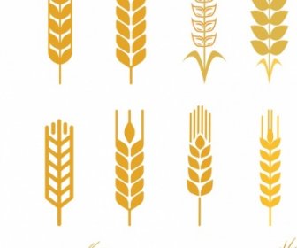 大麦のアイコンコレクションさまざまな茶色の平らな形