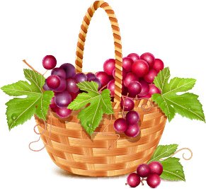 Basket And Grapes Design Vector