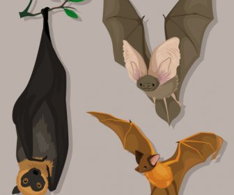 Bat Species Icons Gestures Sketch Cartoon Design