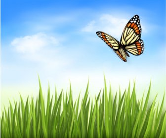 美しい蝶と緑の草のベクトルの背景
