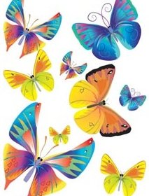 Bel Ensemble Coloré De Vecteur Libre De Vol Papillon