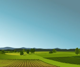 Schöne Felder Landschaften Vektor-Satz