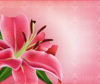 Bunga Yang Indah Dengan Latar Belakang Merah Muda Vektor