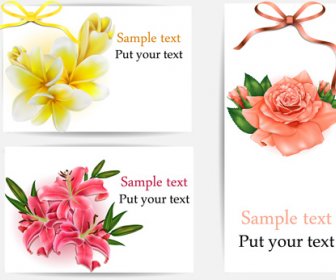 Beautiful Flower With Ribbon Cards Vector Graphic