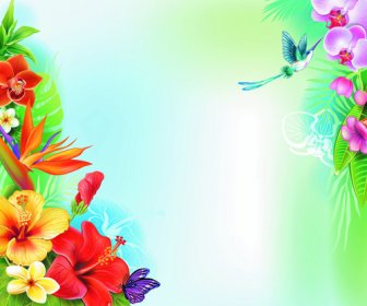 Schöne Blumen Und Schmetterlinge Vektor-Hintergrund