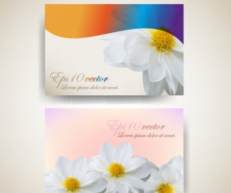 Beautiful Flowers Business Cards Vector