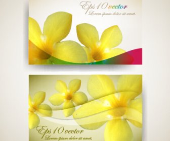 Beautiful Flowers Business Cards Vector