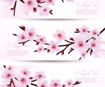 Beautiful Pink Flowers Vector Banner