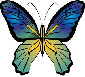 Belle Silhouette Joli Papillon Bleu Libre Vecteur