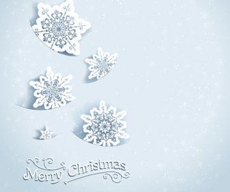 Beautiful Snowflakes Christmas Backgrounds Vector