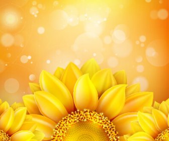 Terletak Indah Bunga Matahari Emas Latar Belakang Vektor