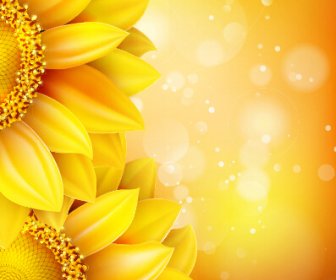 Terletak Indah Bunga Matahari Emas Latar Belakang Vektor