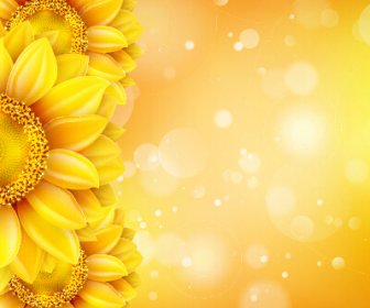 Schöne Sonnenblumen Goldgrund Set Vektor