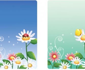 Beautiful White Flower Greeting Card Set Vector