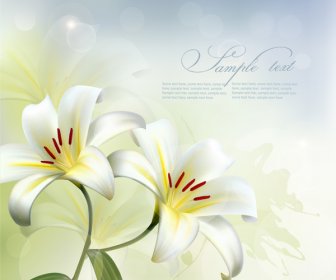 Güzel Beyaz çiçek Vektör Arka Plan
