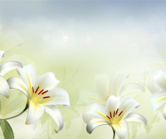 Bunga Putih Yang Indah Vektor Latar Belakang