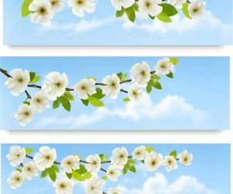 Bunga-bunga Putih Yang Indah Vektor Banner