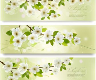 Beautiful White Flowers Vector Banner