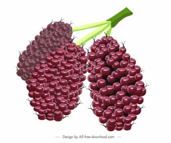 Berries Buah Ikon Desain Berwarna Mengkilap Lebat Sketsa
