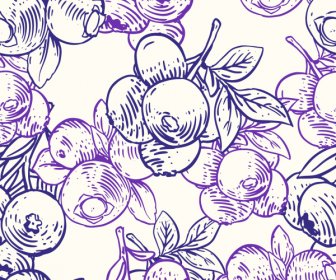 Berry Pola Buah Template Sketsa Handdrawn Klasik