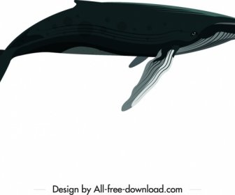 Croquis De Dessin Animé De Couleur Grande Baleine Icône