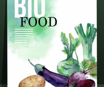 Bio Cibo Banner Colorato Retrò Design Schizzo Vegetale