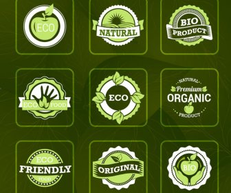 Bio Labels Sets Illustration On Vignette Green Background