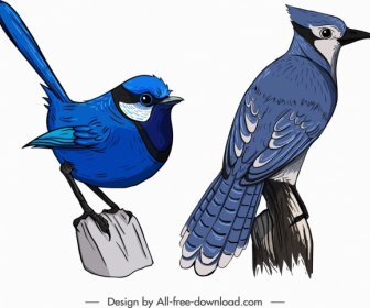 Iconos De Criaturas De Pájaros Gorrión Azul Boceto De Bigotes Rojos