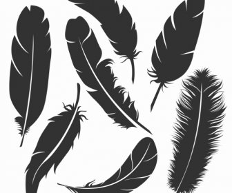 Bird Feather Icons Black Silhouette Sketch