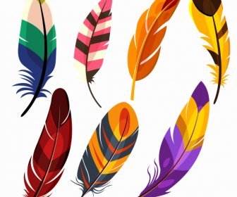 Bird Feather Icons Colorful Handdrawn Sketch