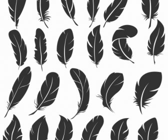 Bird Feather Icons Dark Black Handdrawn Shapes