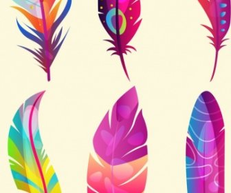 Bird Feathers Icons Colorful Fluffy Design