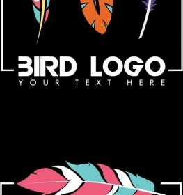 Piume Di Uccelli Logo Presenta Icone Arredamento Appartamento Colorato