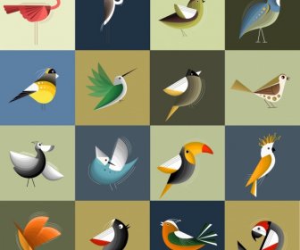 Bird Icons Collection Colorful Classical Design Squares Isolation