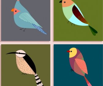 Aislamiento De Los Iconos De Aves Distintos Tipos Multicoloras