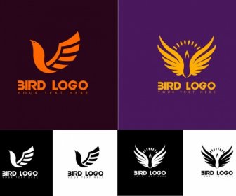 Uccello Logo Presenta Ali Decorazione Vari Sketch