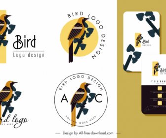 Modelli Di Logo Uccello Colorati Classico Arredamento Piatto