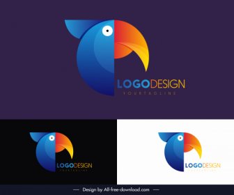 Bird Logotype Toucan Sketch Colorful Flat Design