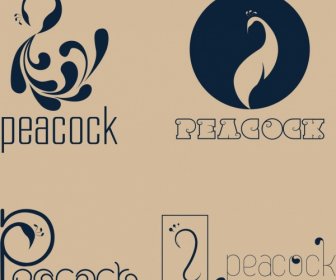 Bird Logotypes Peacock Icon Curves Decoration