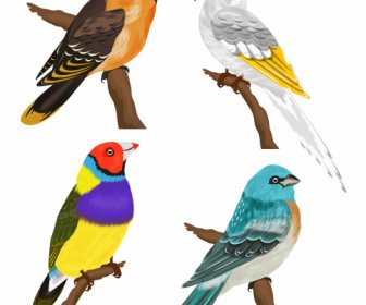 Bird Species Icons Colorful Classical Sketch