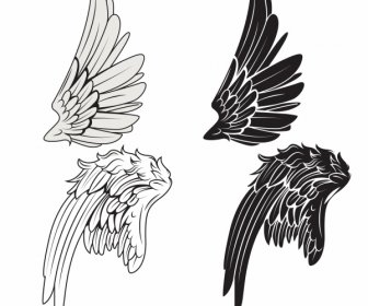 Bird Wing Icons Black White Classical Handdrawn Sketch