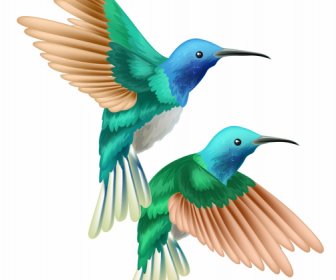 Burung Beberapa Lukisan Warna-warni Dekorasi Klasik